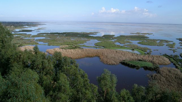 Doñana, equilibrio vital de Europa y África