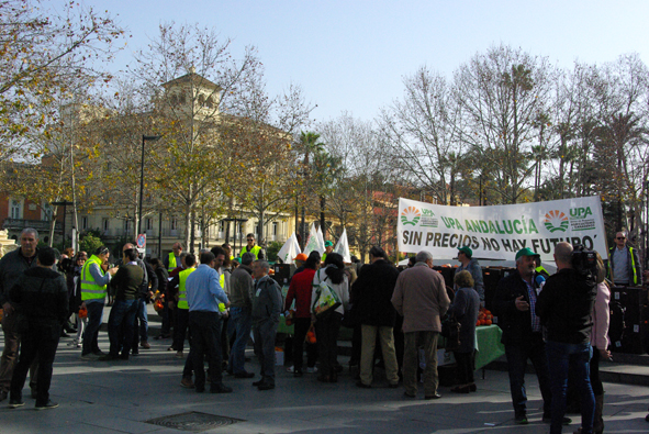 Agricultores regalan naranjas en Sevilla, en protesta por los precios