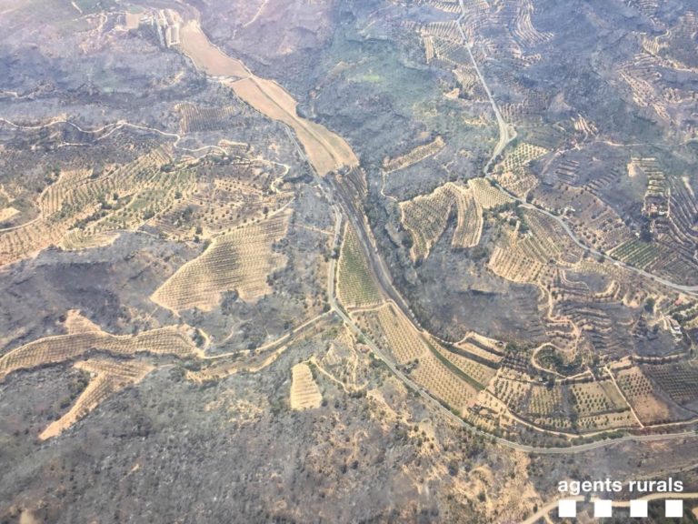 Controlado el incendio en la Ribera d’Ebre (Tarragona) tras quemar unas 6.000 hectáreas