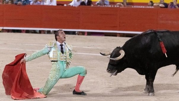 Un diario de Alemania exige a Merkel la inmediata retirada de todas las ayudas destinadas a corridas de toros en España