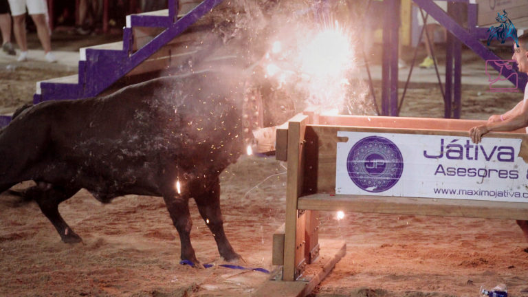 Aterrorizar a un animal con lo que más teme, el fuego, no debe ser un modo de diversión