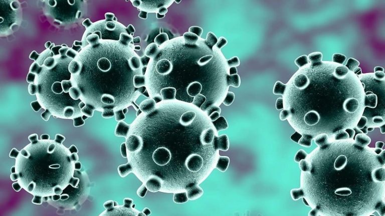 ¿Es el Coronavirus el nuevo Babel?
