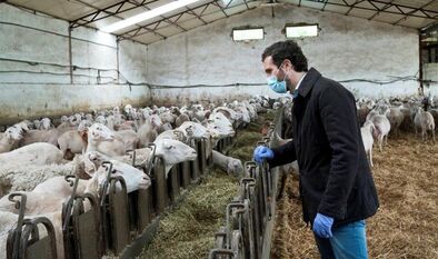 Pablo Casado es un peligro para el Estado de Derecho