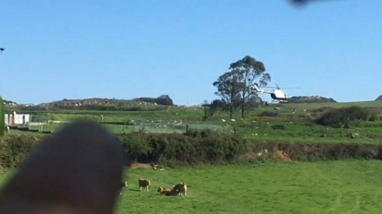 #MarcaEspaña peliculera: La Guardia Civil aterriza el helicóptero solo para ‘pedirle los papeles’ a una vecina que paseaba a su perro