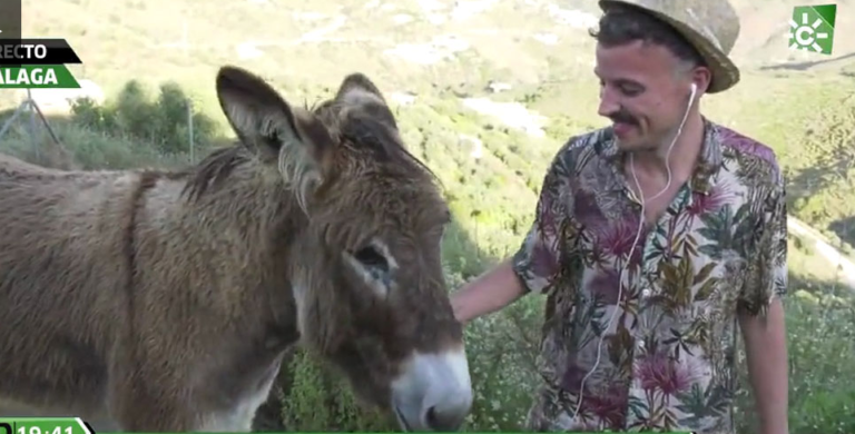 [Vídeo] La Burra Baldomera se encuentra emotivamente con su dueño tras el confinamiento