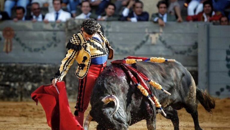 El Gobierno da prioridad a los toros y las plazas se pueden abrir