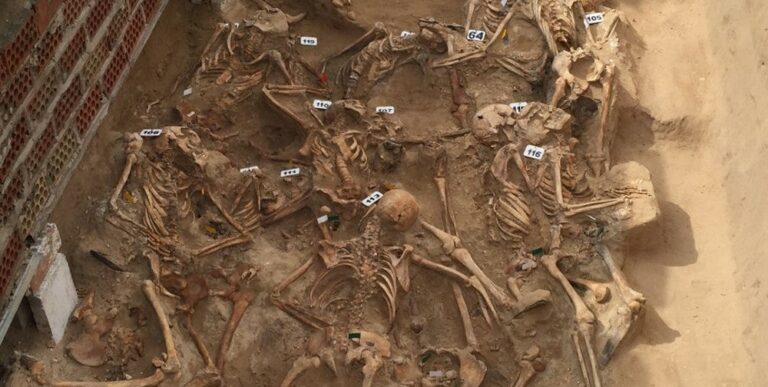 Un alcalde de Ciudadanos bloquea la búsqueda de una fosa del franquismo, y llama a los arqueólogos: “Chupadores de subvenciones”