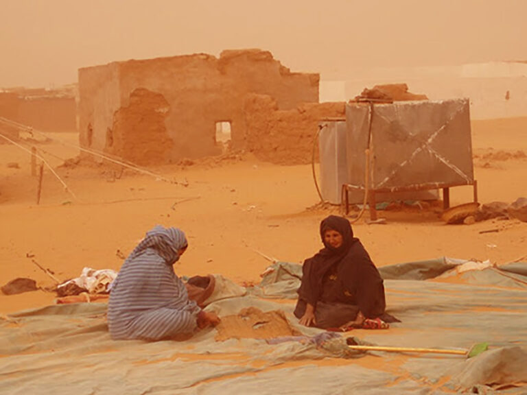 El Grupo de apoyo internacional a la reunificación saharaui, exige al Frente Polisario y las RASD que evite cualquier intento de conflicto bélico con el Reino de Marruecos