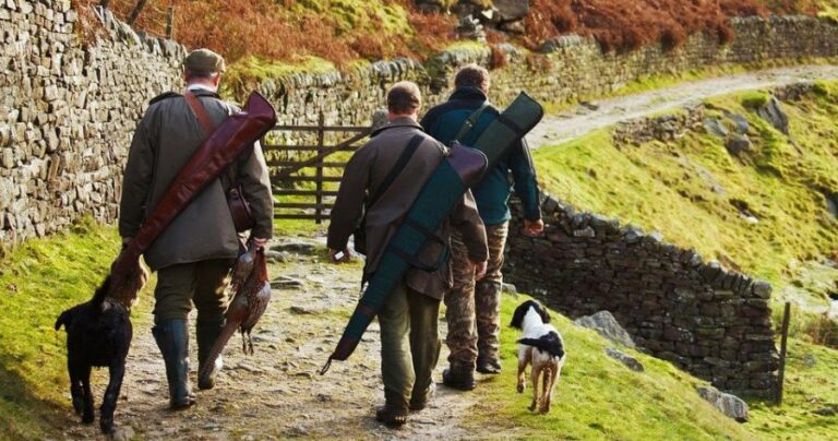 #MarcaEspaña: El Gobierno de Andalucía ve como ‘esenciales’ la movilidad para cazar y esquiar