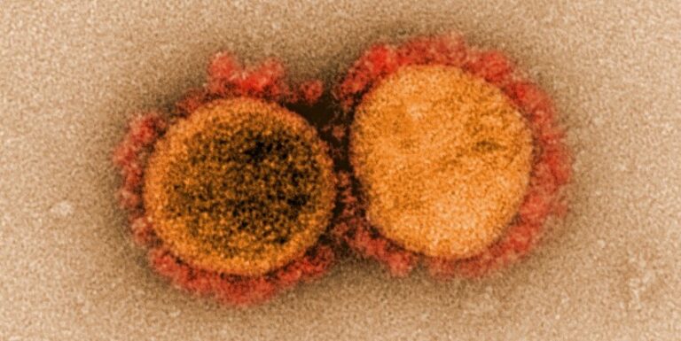 La mutación del coronavirus más peligrosa aparece en EEUU: «El Diablo ya está aquí»