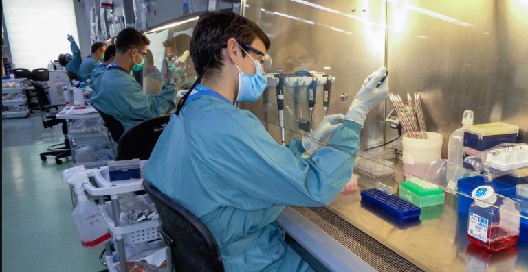Moléculas de células del sistema inmune promueven la infección del coronavirus