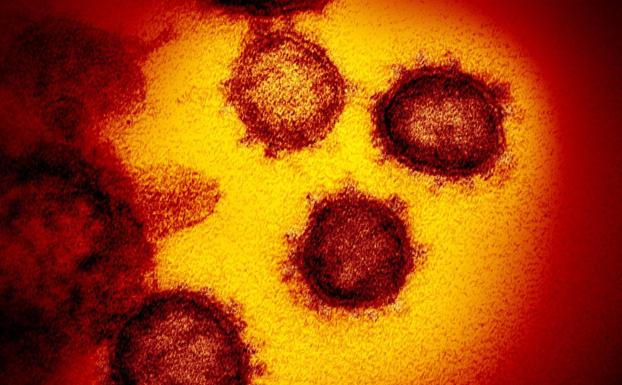 La variante Ómicron del coronavirus ya está en varios países de Europa