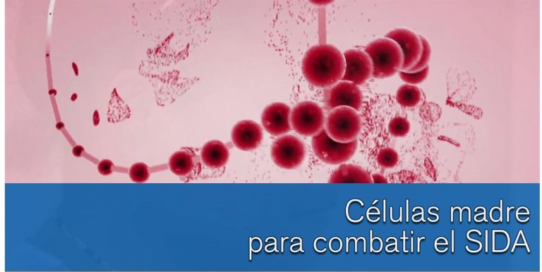 Avance para erradicar el Sida: Verifican un tercer caso de remisión del VIH a una mujer intervenida