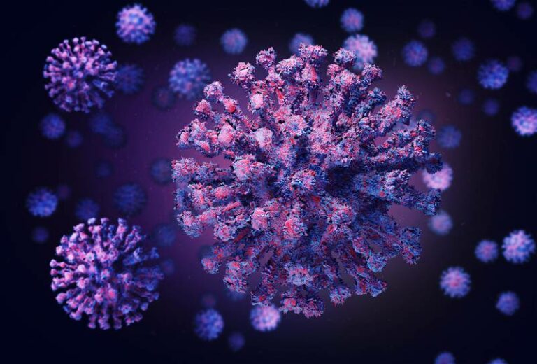 La OMS en alerta máxima por el primer brote en Ghana del mortal virus de Marburgo
