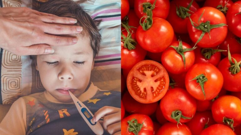La ‘Gripe del Tomate’: el contagioso nuevo virus que ha aparecido en la India