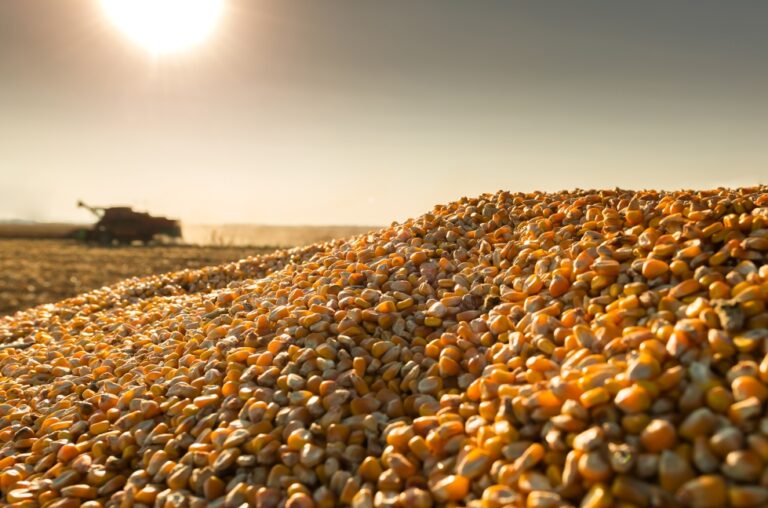 Rusia ha aumentado las exportaciones mundiales de alimentos