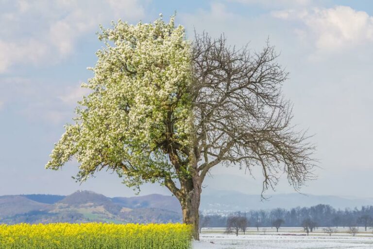 Europa se va salvando del frio gracias a la suave meteorología del cambio climático