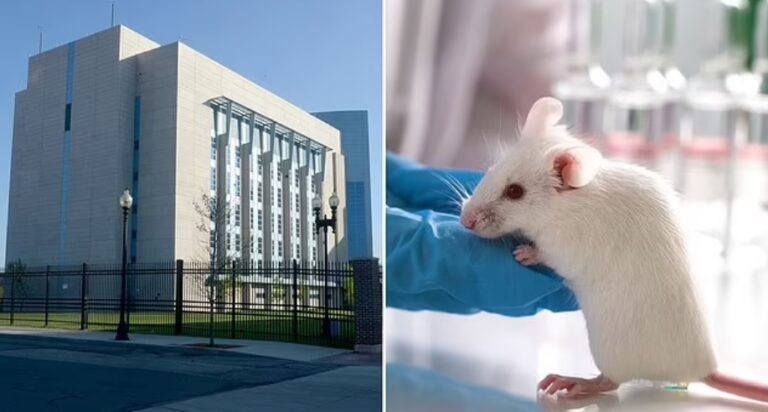 [Vídeo] Científicos de la Universidad de Boston crearon una nueva cepa de Covid con una tasa de mortalidad del 80 %