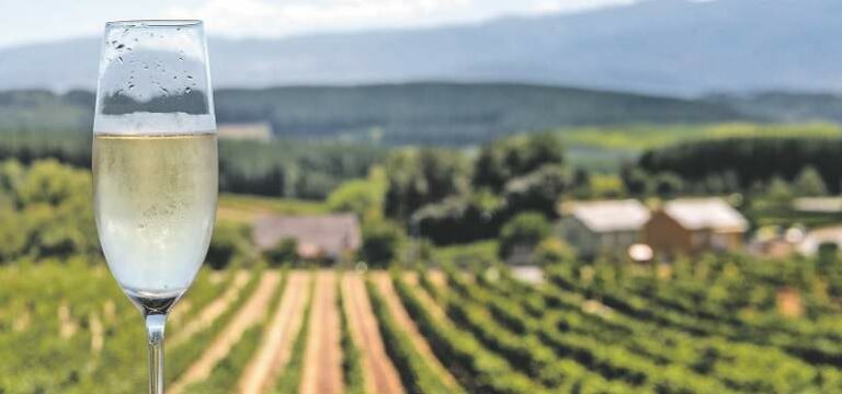La Generalitat prepara un distintivo para acreditar el origen de alimentos y bebidas producidos en Catalunya