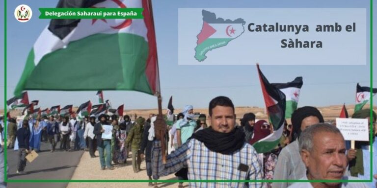 El Fons Català de Cooperació denuncia que las últimas crisis humanitarias han tapado el conflicto del Sáhara Occidental