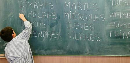 El TC indica que la Constitución no fija el tanto por ciento de castellano en la escuela