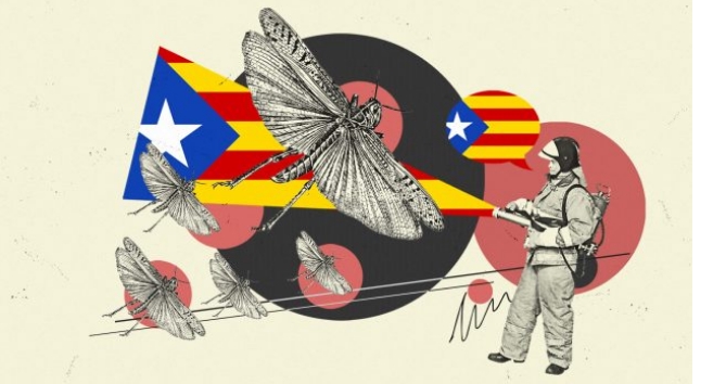 La constitucionalista Impulso Ciudadano: «Hasta para matar mosquitos es necesario un nivel muy alto de catalán»