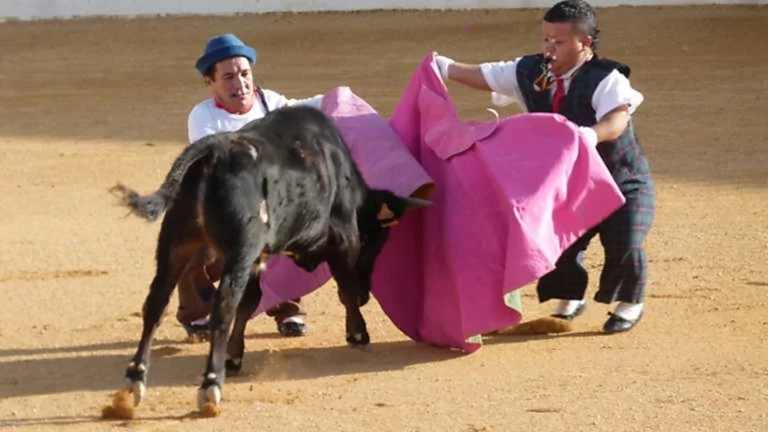 Fin en España a los espectáculos que denigran a personas con enanismo como en los toros o las despedidas de soltero