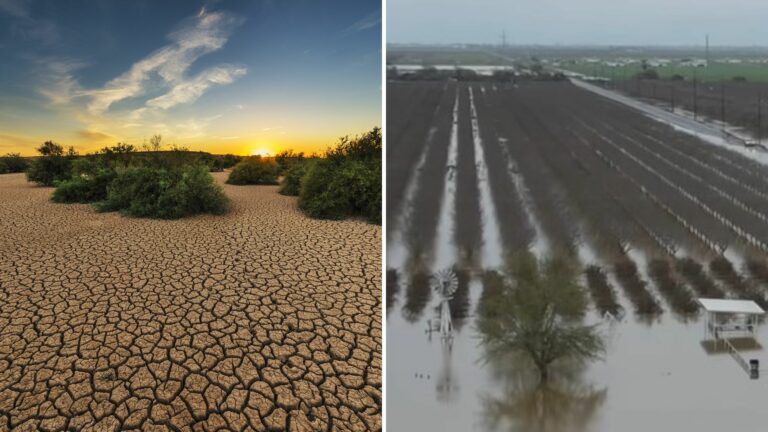 Aviso de la inminente y peligrosa llegada de ‘El Niño’